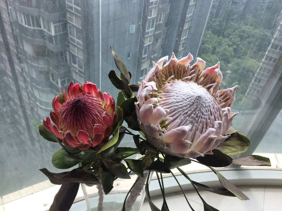 做干花