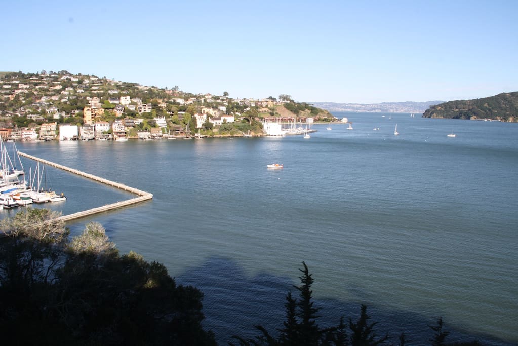Partial view from the house and small back deck. It can't all be captured in a single photo! We are just past the San Francisco Yacht Club (left). Across is Tiburon, Angel Island and to the right is the Bay Bridge. Seals hunt fish in the shallow waters while kids practice their sailing. On Fridays the bay is filled with racing sailboats.