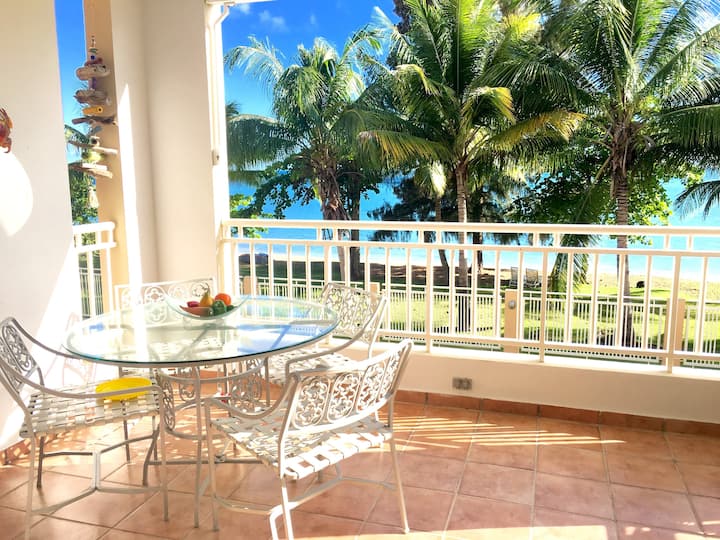 Peaceful Beachfront Apt. in Rincón/Añasco Apartments for Rent in