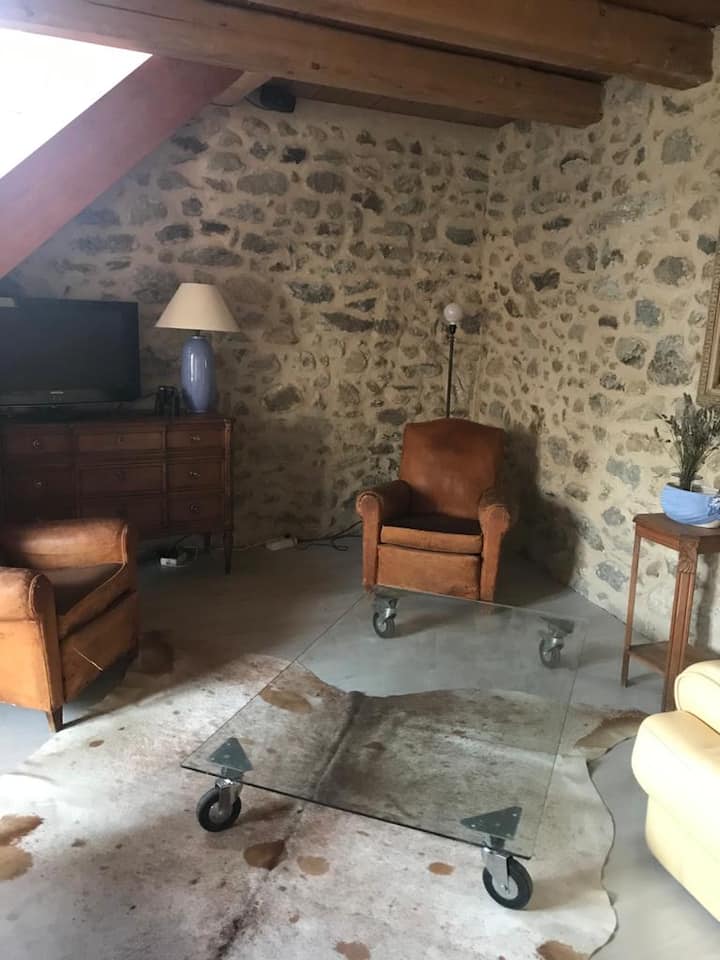Salon