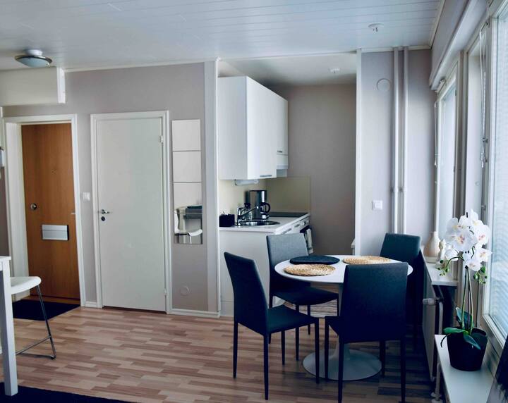 Kuopio Vacation Rentals & Homes Finland Airbnb