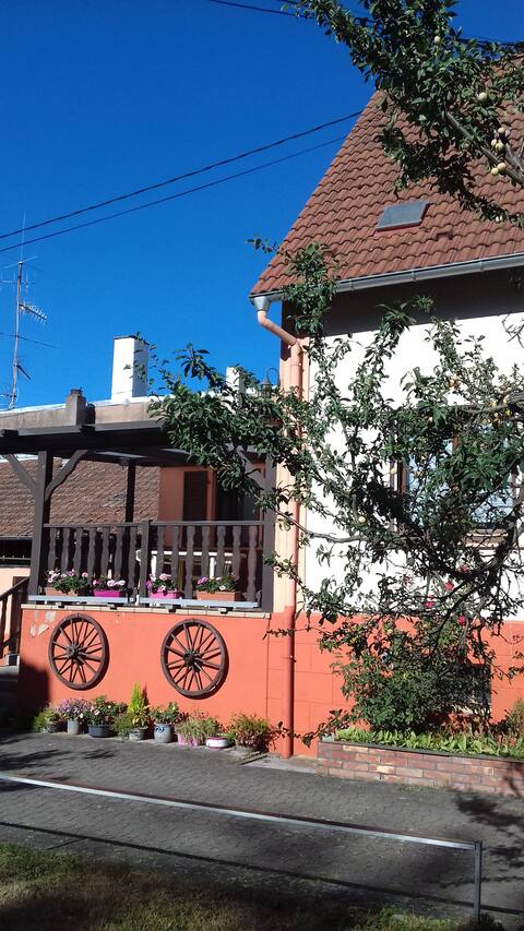 House near the Tram, 15 minutes from Strasbourg