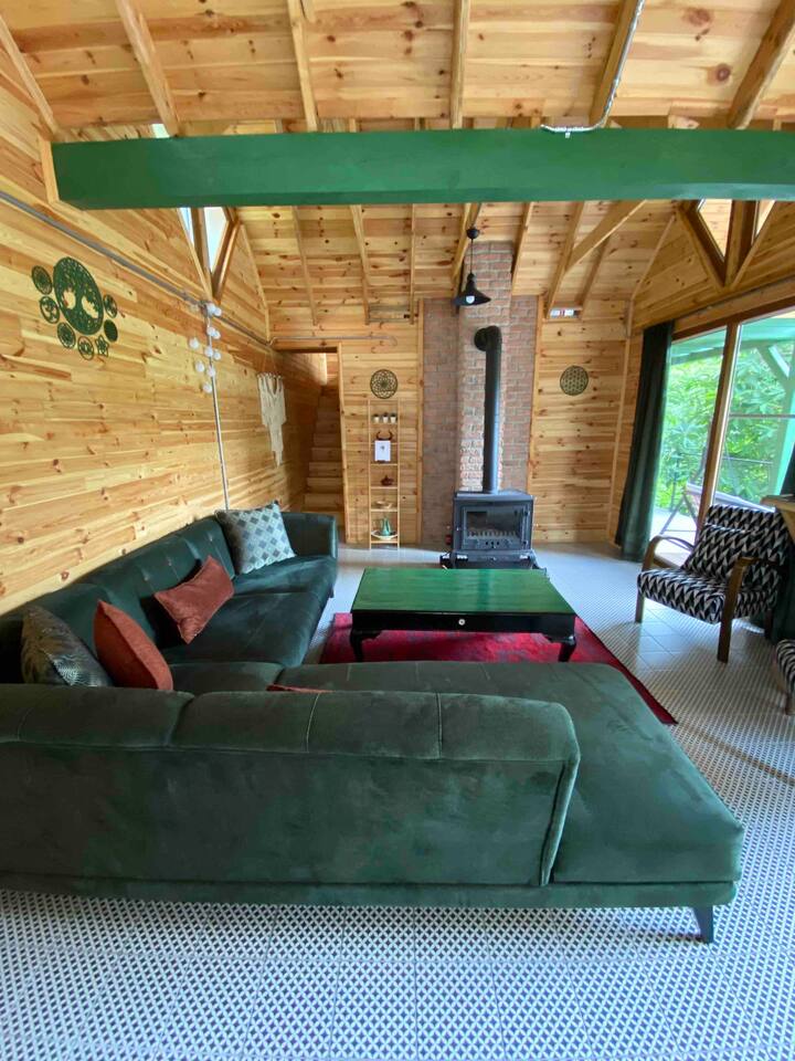 Elif’in Gizli Bahçesi / ŞIfa Dağ Evi - Sapanca