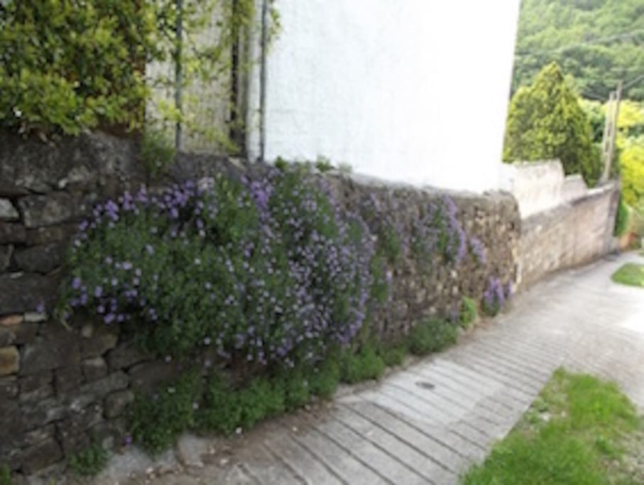 la stradina che porta alla casa