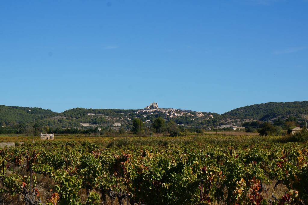 Vue sur le Barroux