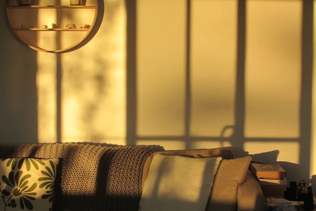 Afternoon light