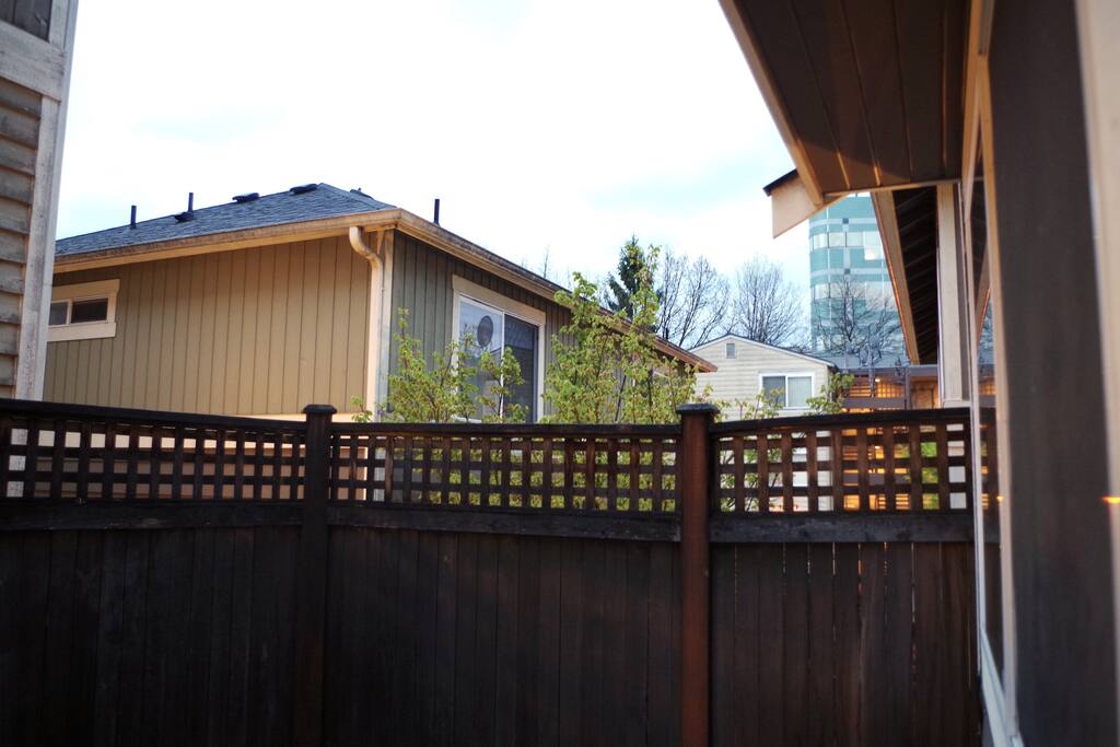 Back yard and neighborhood