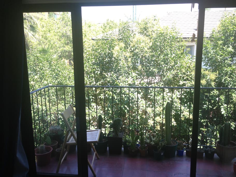 Ventanal y balcón privado de la pieza