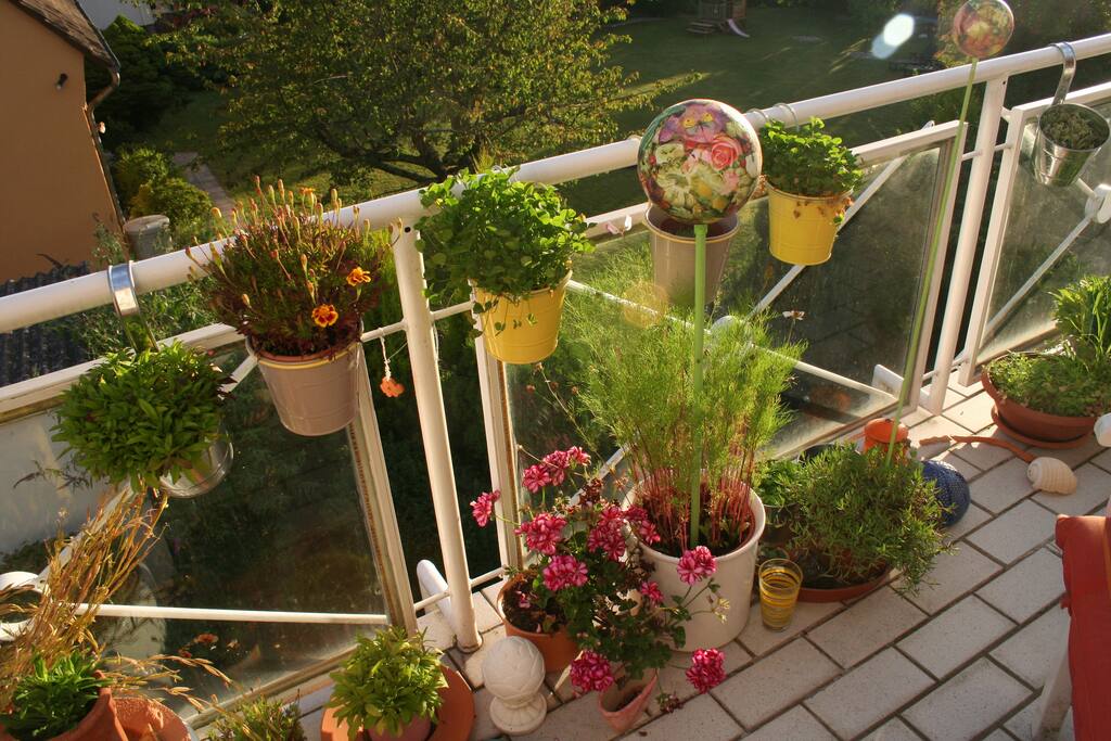 on the balcony