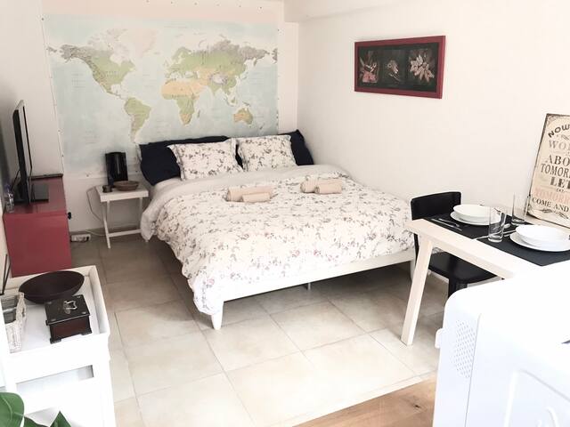 Beautiful Studio in Villa with Garden