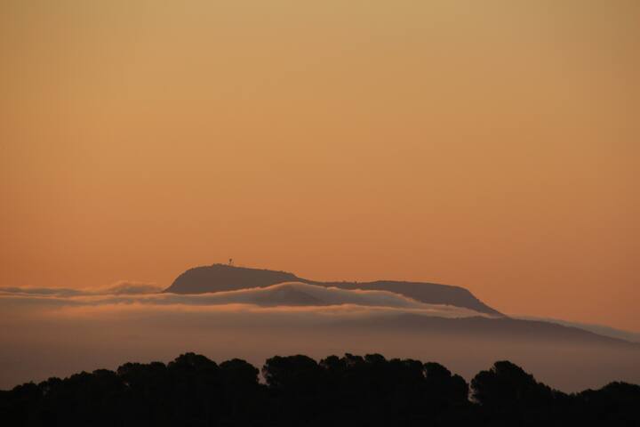 Villa Clausen – Pool Villa – Portals gallery image 4