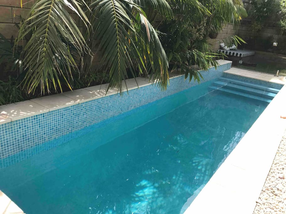 Heated saltwater pool surrounded by Lord Howe Palms.