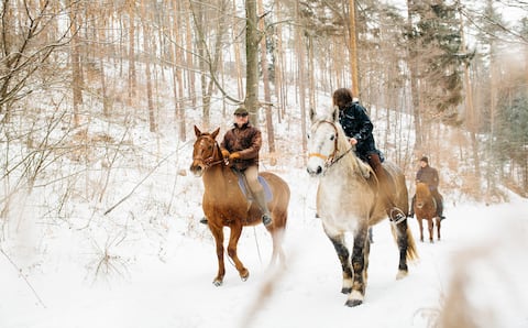 Wiedeń – wyjątkowe sposoby spędzania czasu