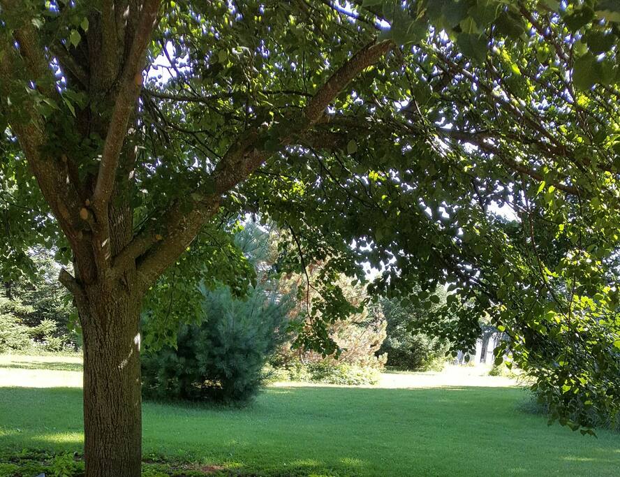 Large private back yard with shaded and sunny spots. Lots of play space for kids and a fire pit for evening relaxation.