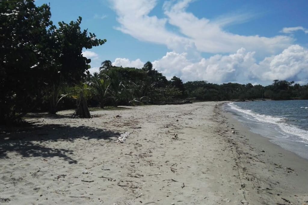 Mar limpio y tranquilo