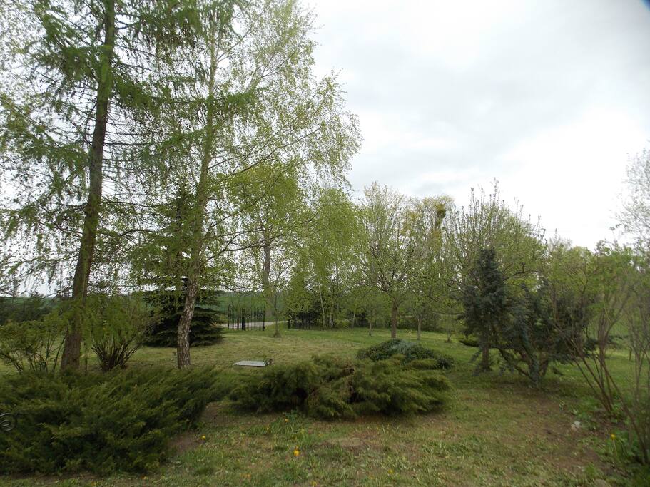 Panorama działki