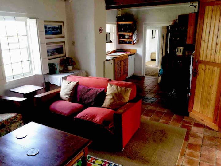 أثاث على الطراز العتيق للراحة. تُظهر هذه المنطقة أيضًا منطقة المطبخ المفتوحة.