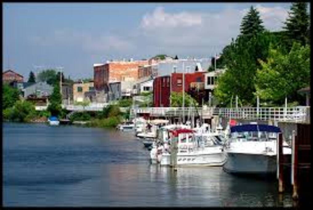 Take a charter and catch a record steelhead or salmon!