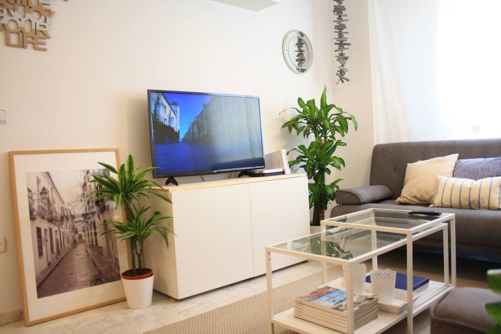 Smart TV 43", video consola Wii, Red gratuita Wifi, juegos de mesa...