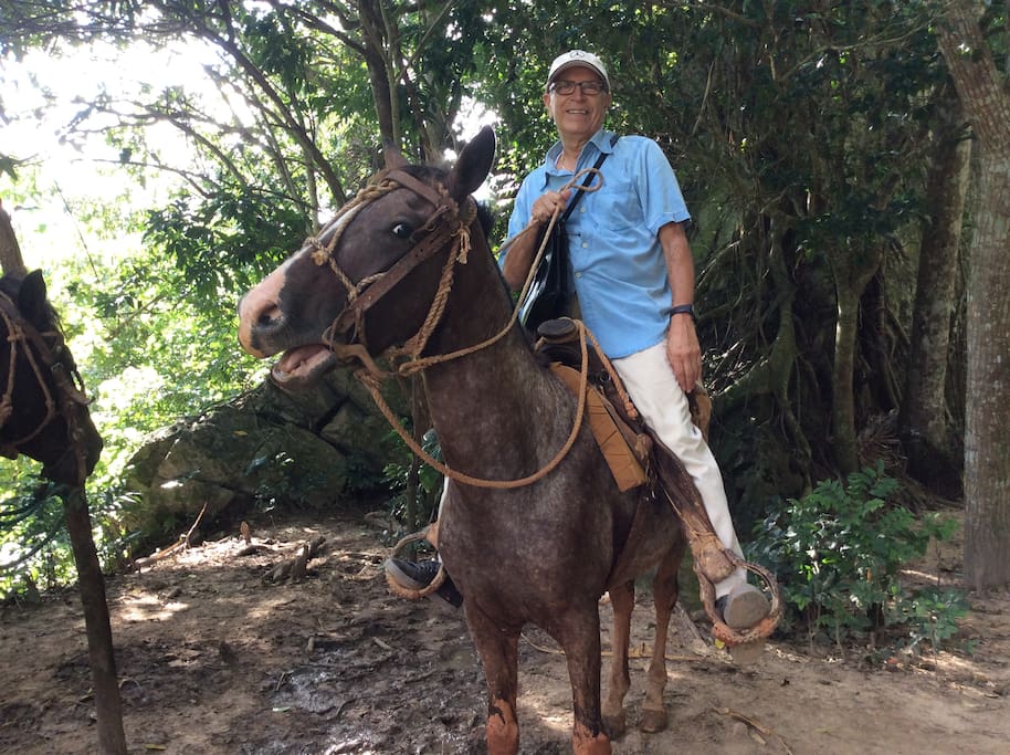 Cuban horse with an American rider! Excellent tour set up by host of the house.