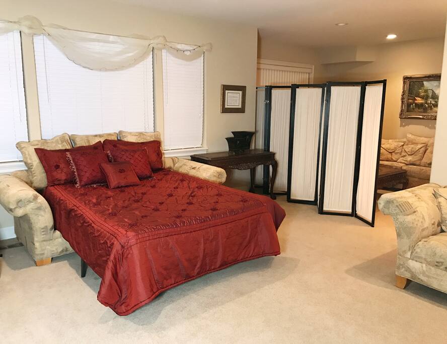 Pull-out Sofa queen size bed