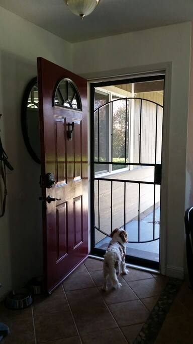 Your welcome at the front security door with code pad lock.