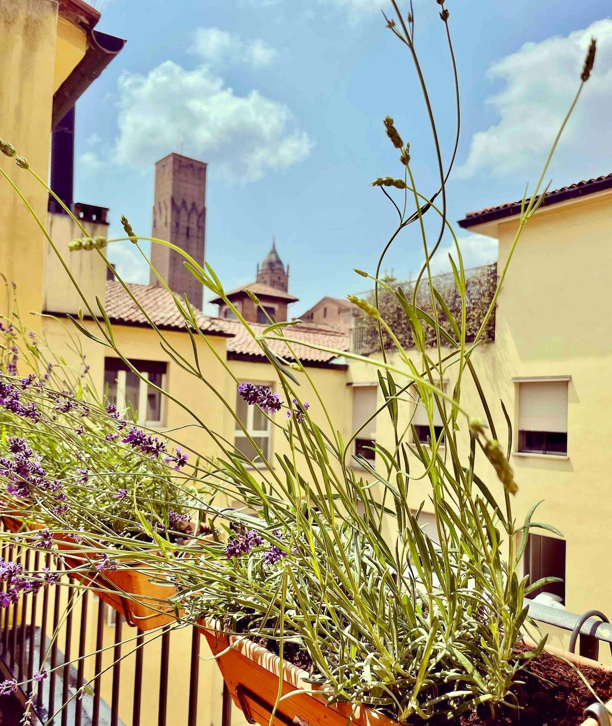 A view from the terrace features a railing adorned with lavender plants, their stems swaying gently in the breeze. The background showcases historic buildings, including recognizable towers, against a clear sky, creating a serene outdoor atmosphere.