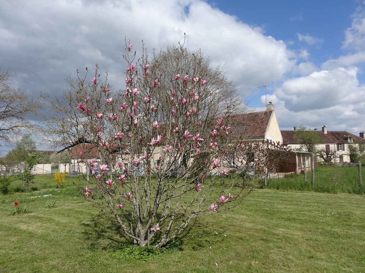 A blooming magnolia tree with pink flowers is positioned prominently in a grassy area. A spacious field is visible in the background, with a single-story building and trees partially concealed by clouds creating a peaceful rural setting.