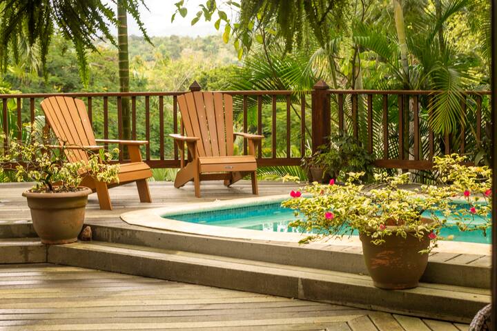 Special Offer!!! Purple Gate Villa Pedro Brand