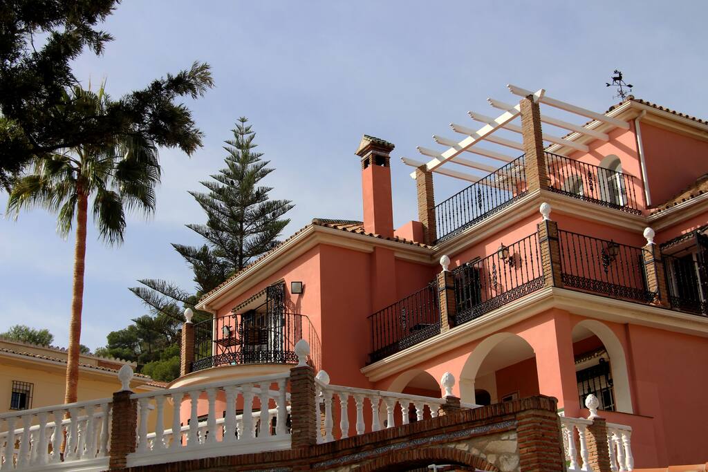 Our house and palm tree