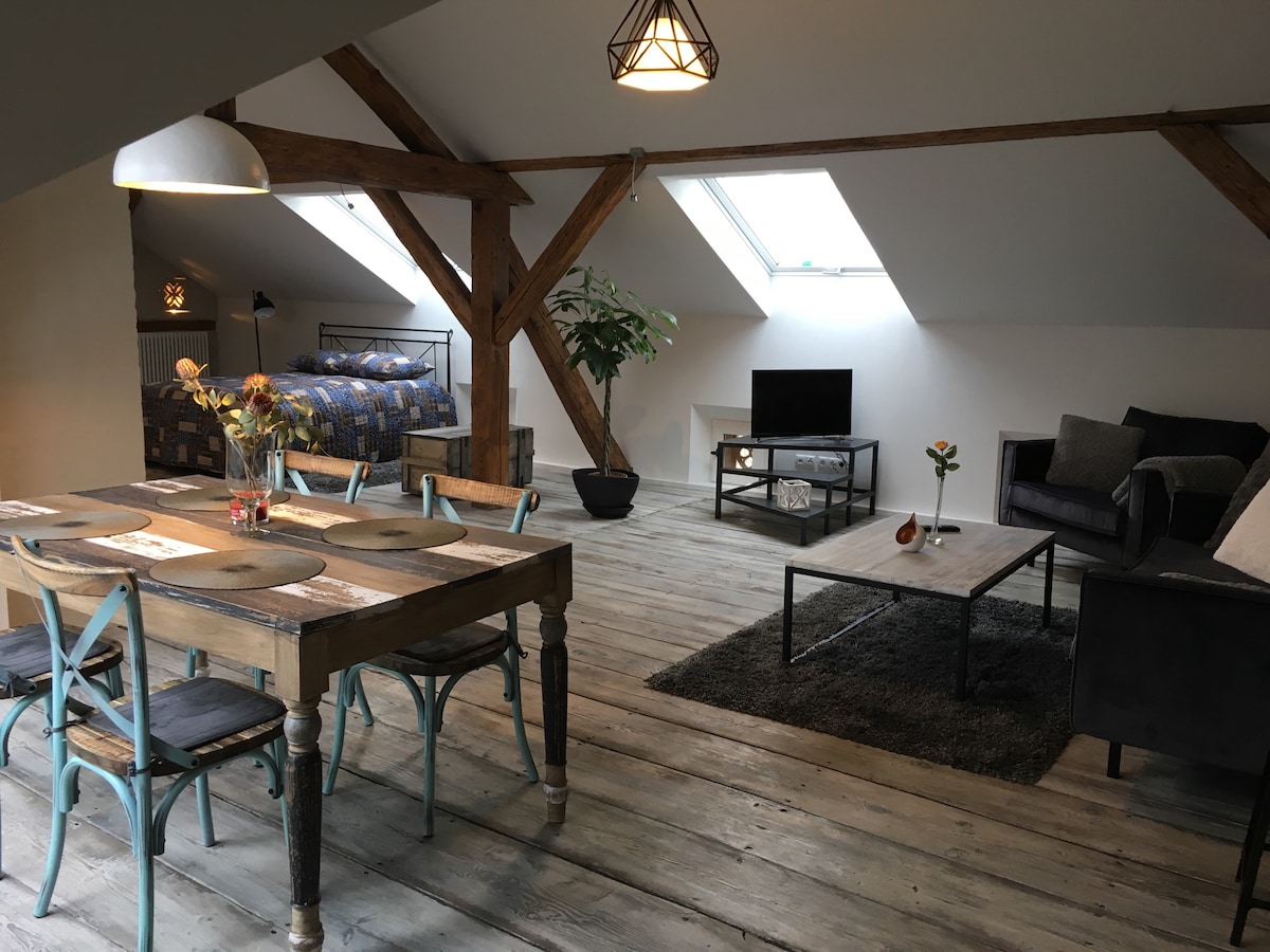 Erfolgreiche Airbnb-Immobilie: Exclusive modern with sauna in the lofty roof in Halle (Saale)