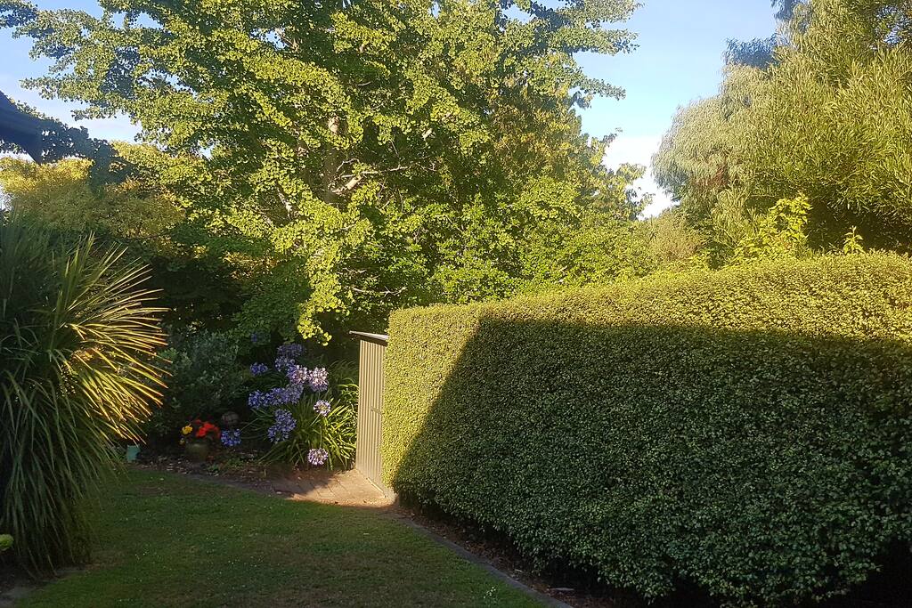 This is the outlook from the back terrace. private and bush clad.