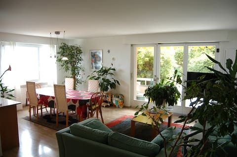 Beautiful 3.5 rooms with lake view