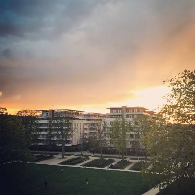 Vue depuis la terrasse 2