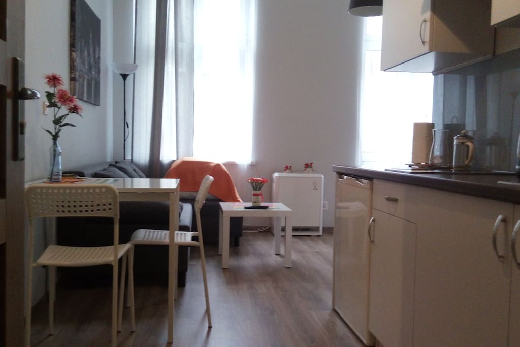 Widok od drzwi wejściowych. Cracow Pearl to niezależne mieszkanie typu Studio.