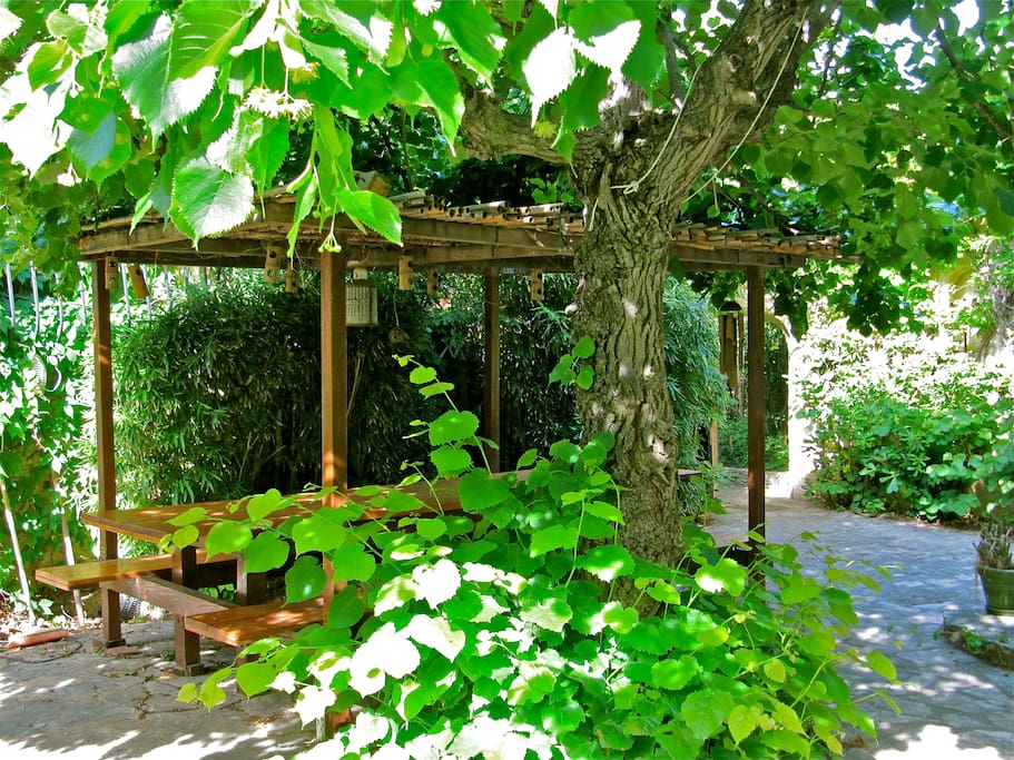 Le jardin