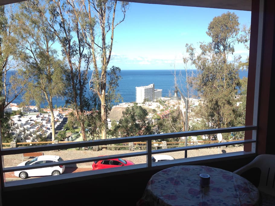 window view