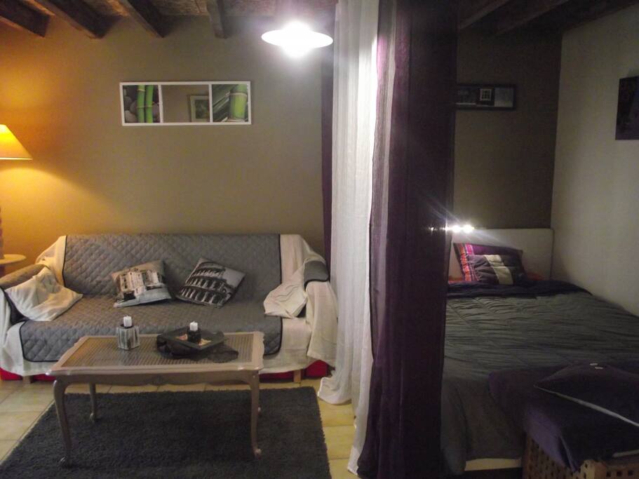 Un salon , tc écran plat et coin nuit , lit en 160/200
