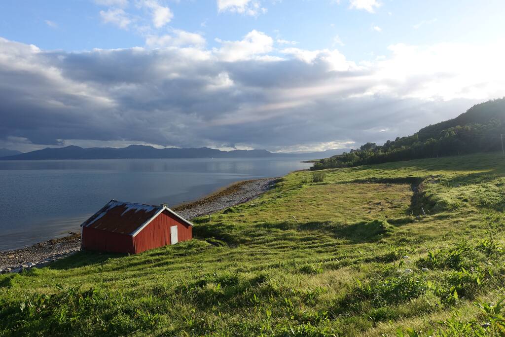View from the garden