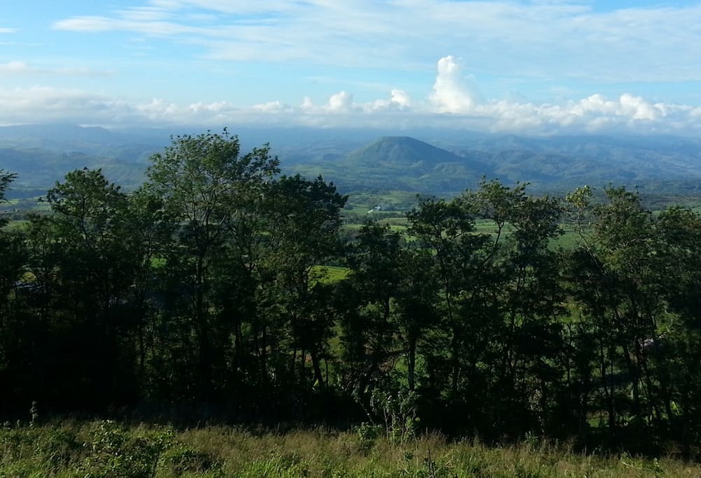 The valley overlooking from the hill.