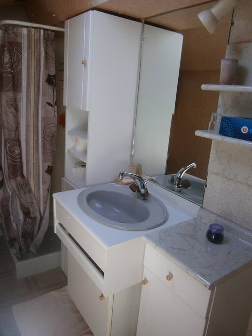 salle de bain, wc