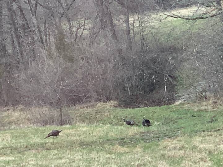 La Plata Vacation Rentals & Homes Missouri, United States Airbnb