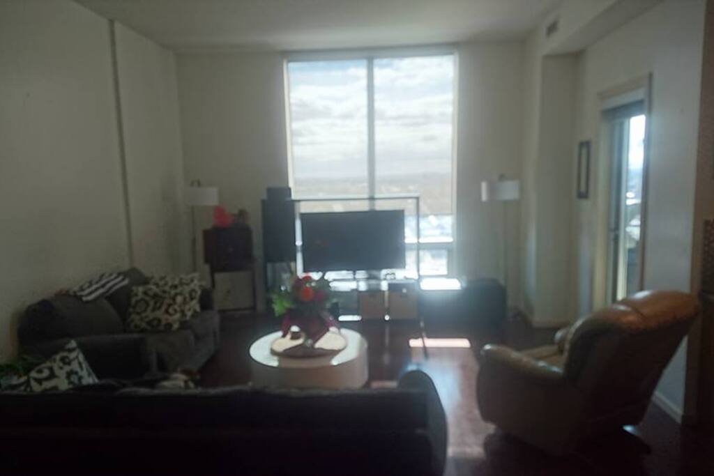 Living room and pull out couch.