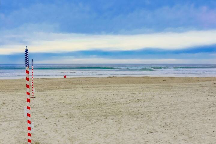 Listen to the sound of the ocean! gallery image 2