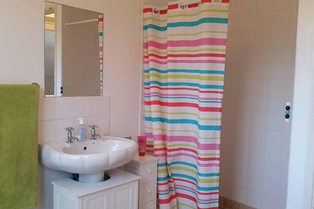 Shared Toilet with huge shower