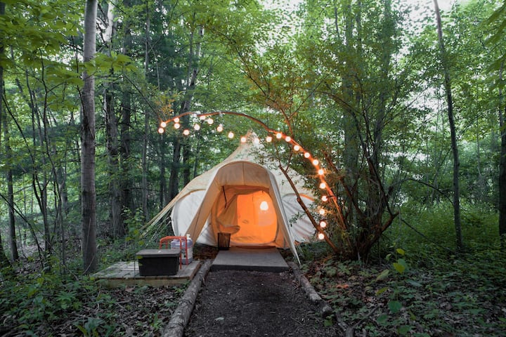 Yurt in Swanton · ★4.93 · 1 bedroom · 3 beds · 1.5 baths