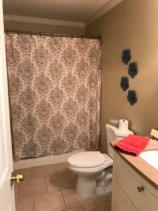 Guest bathroom