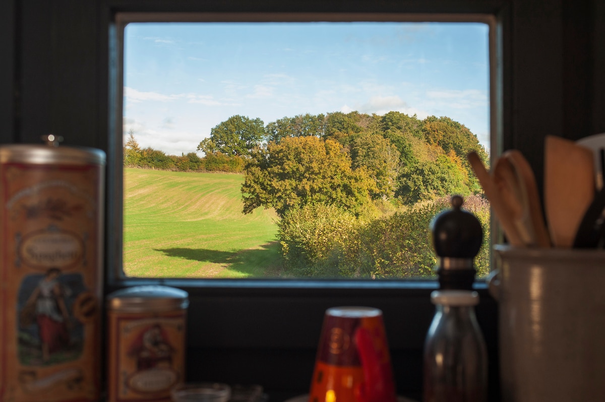 A view of lush green fields and trees is framed through a window, offering a glimpse of the tranquil landscape outside. Various kitchen items, including spice containers and utensils, are positioned nearby, emphasizing a connection between indoor and outdoor spaces.