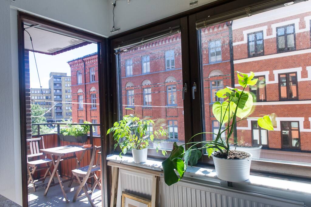 Big windows
