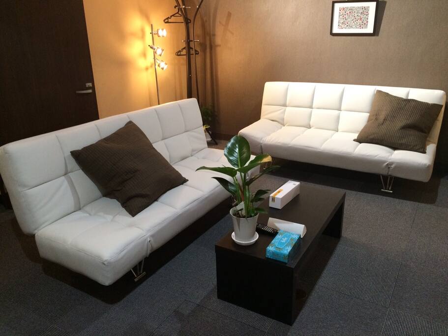 2 sofas in the living room